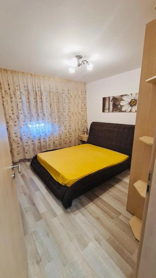 Bacovia Cazare Coresi Apartman Brassó Kültér fotó